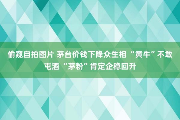 偷窥自拍图片 茅台价钱下降众生相 “黄牛”不敢屯酒 “茅粉”肯定企稳回升