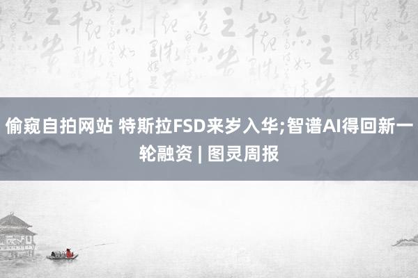 偷窥自拍网站 特斯拉FSD来岁入华;智谱AI得回新一轮融资 | 图灵周报