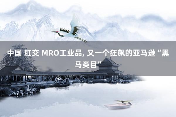 中国 肛交 MRO工业品， 又一个狂飙的亚马逊“黑马类目”