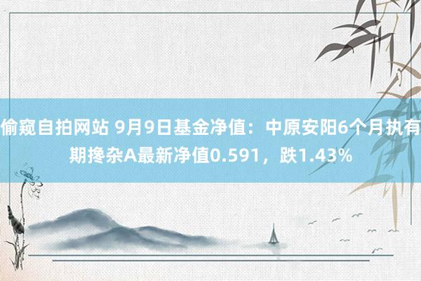 偷窥自拍网站 9月9日基金净值：中原安阳6个月执有期搀杂A最新净值0.591，跌1.43%