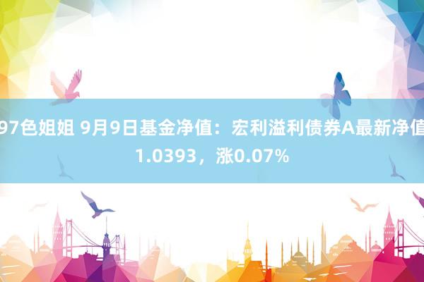 97色姐姐 9月9日基金净值：宏利溢利债券A最新净值1.0393，涨0.07%