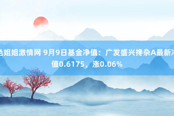 色姐姐激情网 9月9日基金净值：广发盛兴搀杂A最新净值0.6175，涨0.06%