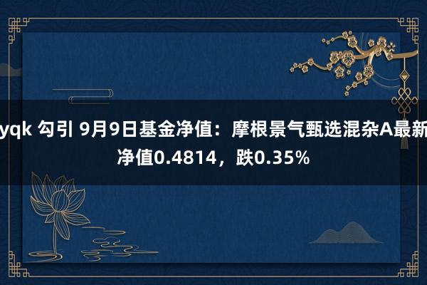 yqk 勾引 9月9日基金净值：摩根景气甄选混杂A最新净值0.4814，跌0.35%