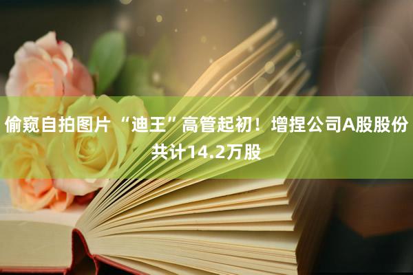 偷窥自拍图片 “迪王”高管起初！增捏公司A股股份共计14.2万股