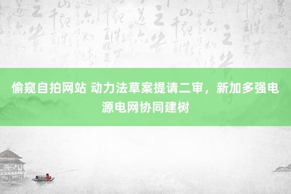 偷窥自拍网站 动力法草案提请二审，新加多强电源电网协同建树