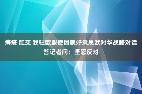 痔疮 肛交 我驻欧盟使团就好意思欧对华战略对话答记者问：坚忍反对