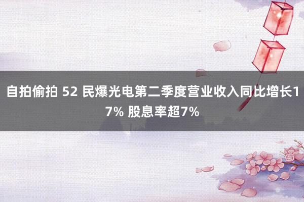 自拍偷拍 52 民爆光电第二季度营业收入同比增长17% 股息率超7%