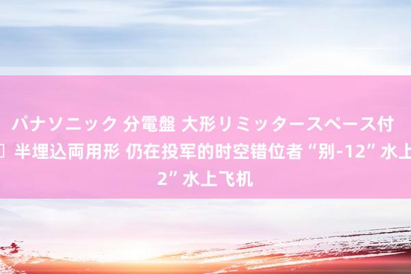 パナソニック 分電盤 大形リミッタースペース付 露出・半埋込両用形 仍在投军的时空错位者“别-12”水上飞机