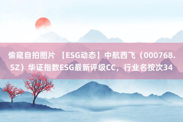 偷窥自拍图片 【ESG动态】中航西飞（000768.SZ）华证指数ESG最新评级CC，行业名按次34