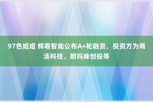 97色姐姐 辉羲智能公布A+轮融资，投资方为商汤科技、朗玛峰创投等