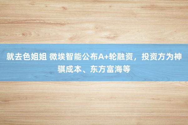 就去色姐姐 微埃智能公布A+轮融资，投资方为神骐成本、东方富海等