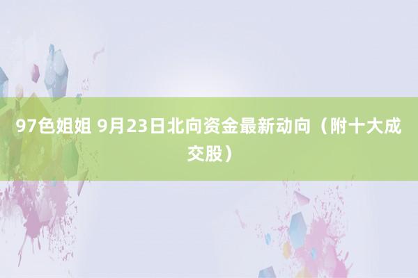 97色姐姐 9月23日北向资金最新动向（附十大成交股）