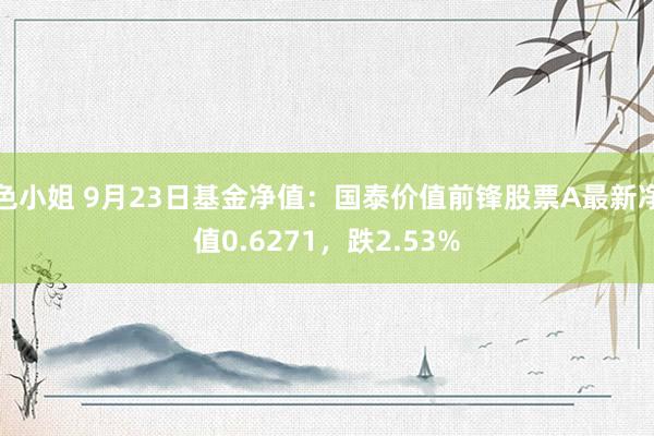 色小姐 9月23日基金净值：国泰价值前锋股票A最新净值0.6271，跌2.53%