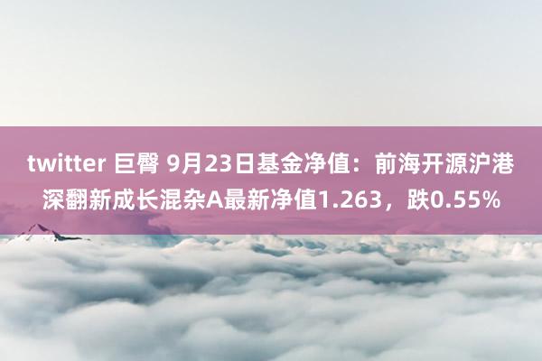 twitter 巨臀 9月23日基金净值：前海开源沪港深翻新成长混杂A最新净值1.263，跌0.55%