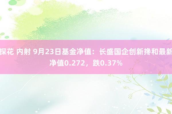 探花 内射 9月23日基金净值：长盛国企创新搀和最新净值0.272，跌0.37%