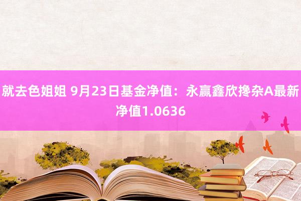 就去色姐姐 9月23日基金净值：永赢鑫欣搀杂A最新净值1.0636