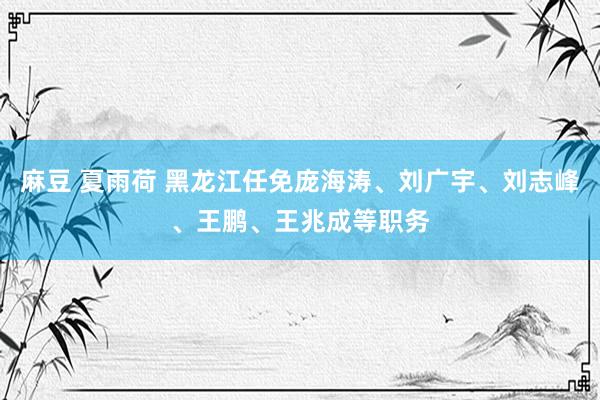 麻豆 夏雨荷 黑龙江任免庞海涛、刘广宇、刘志峰、王鹏、王兆成等职务