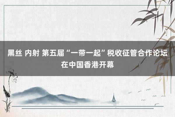 黑丝 内射 第五届“一带一起”税收征管合作论坛在中国香港开幕