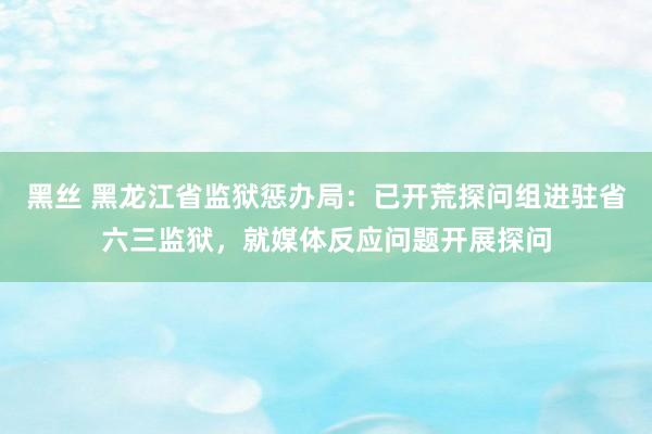 黑丝 黑龙江省监狱惩办局：已开荒探问组进驻省六三监狱，就媒体反应问题开展探问