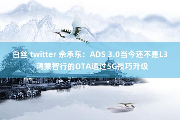 白丝 twitter 余承东：ADS 3.0当今还不是L3  鸿蒙智行的OTA通过5G技巧升级