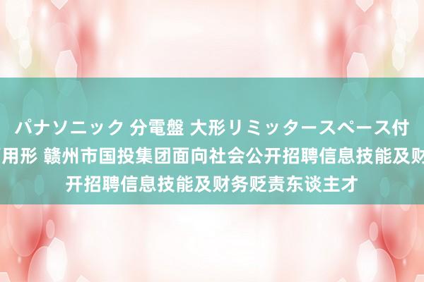 パナソニック 分電盤 大形リミッタースペース付 露出・半埋込両用形 赣州市国投集团面向社会公开招聘信息技能及财务贬责东谈主才