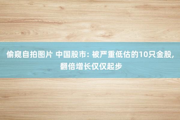 偷窥自拍图片 中国股市: 被严重低估的10只金股， 翻倍增长仅仅起步