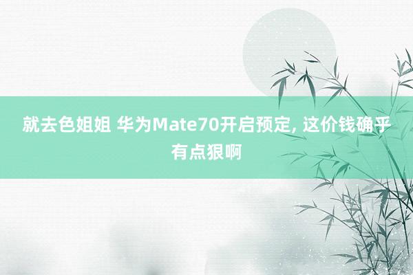 就去色姐姐 华为Mate70开启预定， 这价钱确乎有点狠啊