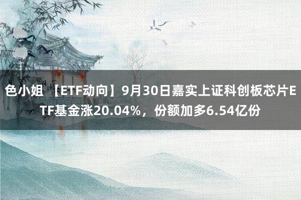 色小姐 【ETF动向】9月30日嘉实上证科创板芯片ETF基金涨20.04%，份额加多6.54亿份