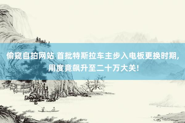 偷窥自拍网站 首批特斯拉车主步入电板更换时期， 用度竟飙升至二十万大关!