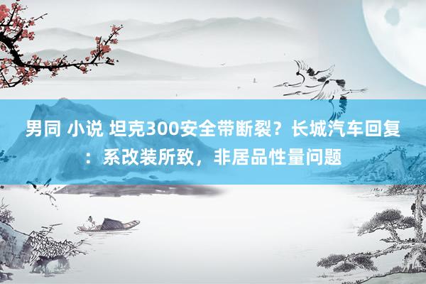 男同 小说 坦克300安全带断裂？长城汽车回复：系改装所致，非居品性量问题