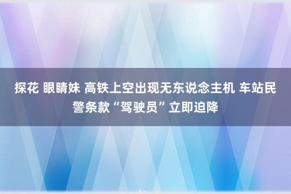 探花 眼睛妹 高铁上空出现无东说念主机 车站民警条款“驾驶员”立即迫降