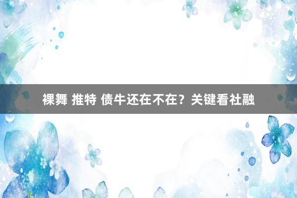 裸舞 推特 债牛还在不在？关键看社融