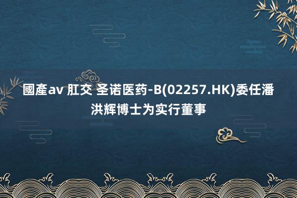 國產av 肛交 圣诺医药-B(02257.HK)委任潘洪辉博士为实行董事