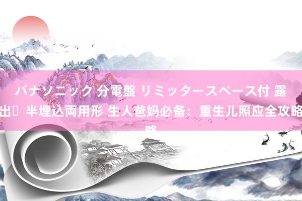 パナソニック 分電盤 リミッタースペース付 露出・半埋込両用形 生人爸妈必备：重生儿照应全攻略