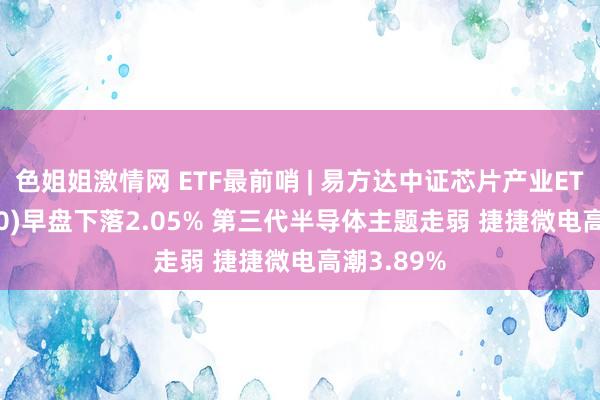 色姐姐激情网 ETF最前哨 | 易方达中证芯片产业ETF(516350)早盘下落2.05% 第三代半导体主题走弱 捷捷微电高潮3.89%