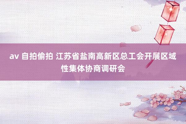 av 自拍偷拍 江苏省盐南高新区总工会开展区域性集体协商调研会