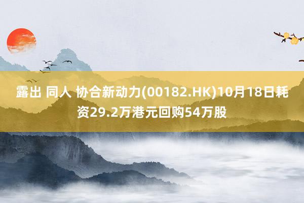 露出 同人 协合新动力(00182.HK)10月18日耗资29.2万港元回购54万股