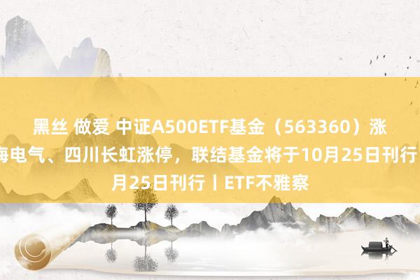 黑丝 做爱 中证A500ETF基金（563360）涨0.59%，上海电气、四川长虹涨停，联结基金将于10月25日刊行丨ETF不雅察