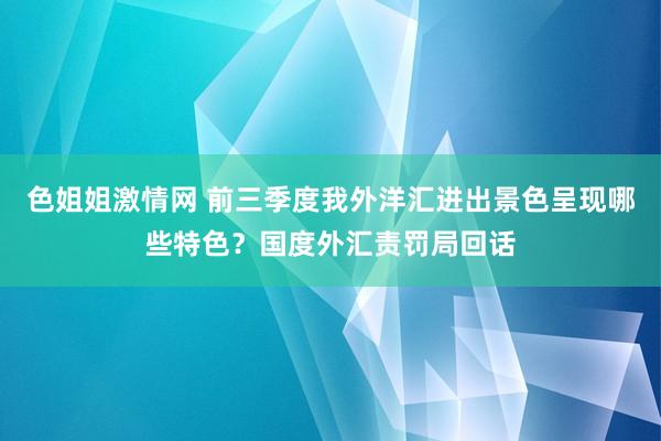 色姐姐激情网 前三季度我外洋汇进出景色呈现哪些特色？国度外汇责罚局回话