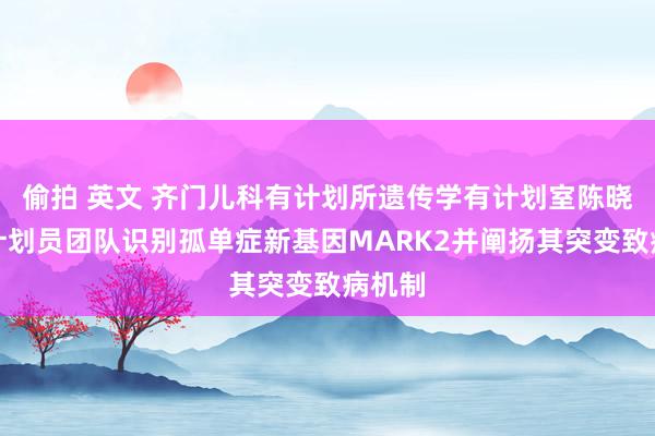 偷拍 英文 齐门儿科有计划所遗传学有计划室陈晓丽有计划员团队识别孤单症新基因MARK2并阐扬其突变致病机制