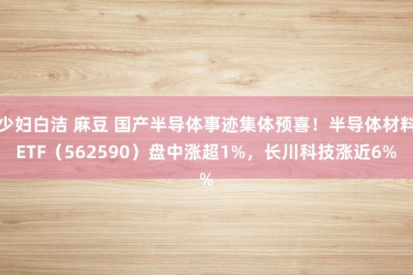 少妇白洁 麻豆 国产半导体事迹集体预喜！半导体材料ETF（562590）盘中涨超1%，长川科技涨近6%