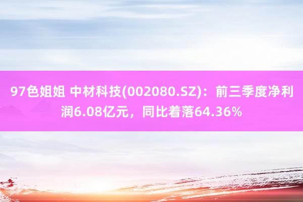 97色姐姐 中材科技(002080.SZ)：前三季度净利润6.08亿元，同比着落64.36%