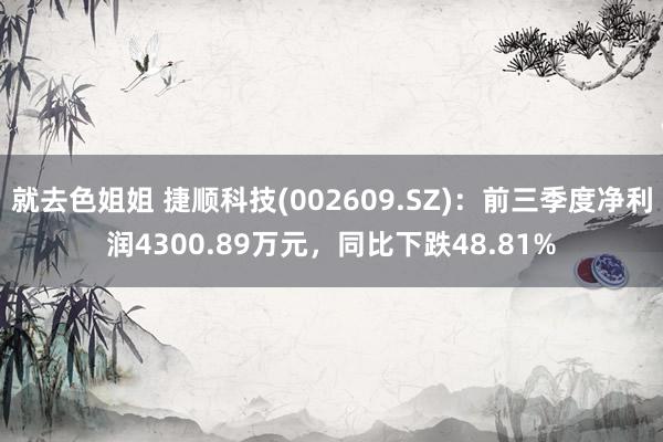 就去色姐姐 捷顺科技(002609.SZ)：前三季度净利润4300.89万元，同比下跌48.81%