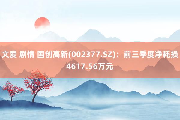 文爱 剧情 国创高新(002377.SZ)：前三季度净耗损4617.56万元