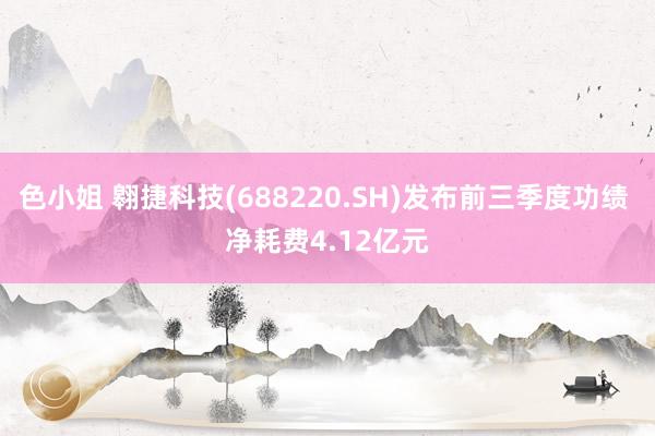 色小姐 翱捷科技(688220.SH)发布前三季度功绩 净耗费4.12亿元