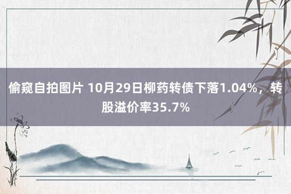 偷窥自拍图片 10月29日柳药转债下落1.04%，转股溢价率35.7%