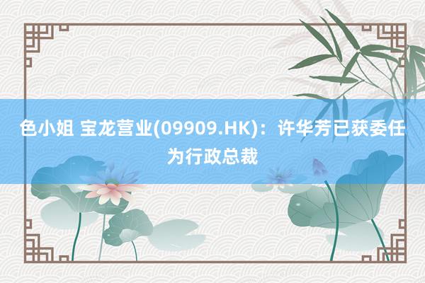 色小姐 宝龙营业(09909.HK)：许华芳已获委任为行政总裁