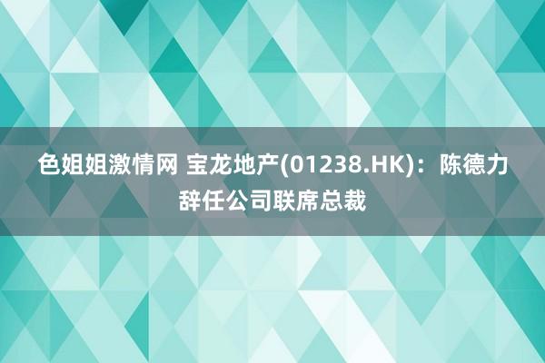 色姐姐激情网 宝龙地产(01238.HK)：陈德力辞任公司联席总裁