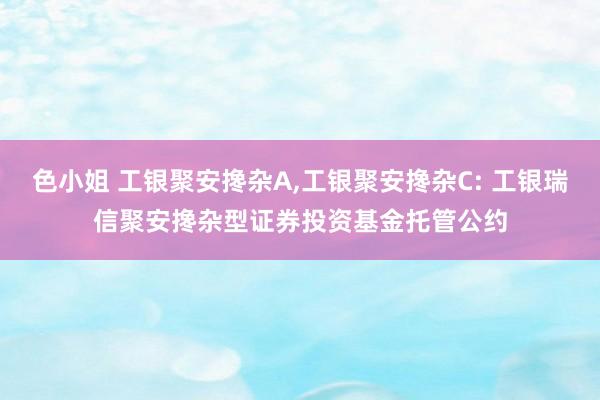 色小姐 工银聚安搀杂A，工银聚安搀杂C: 工银瑞信聚安搀杂型证券投资基金托管公约