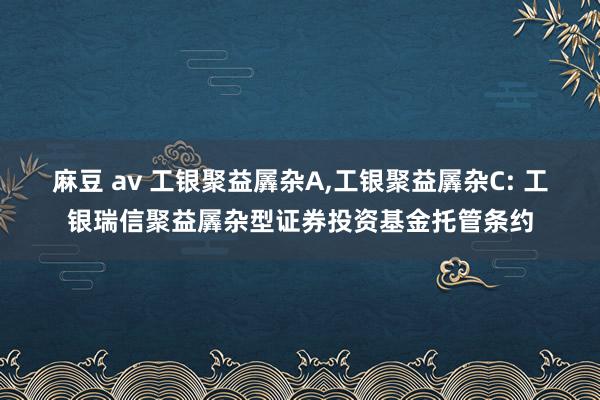 麻豆 av 工银聚益羼杂A，工银聚益羼杂C: 工银瑞信聚益羼杂型证券投资基金托管条约